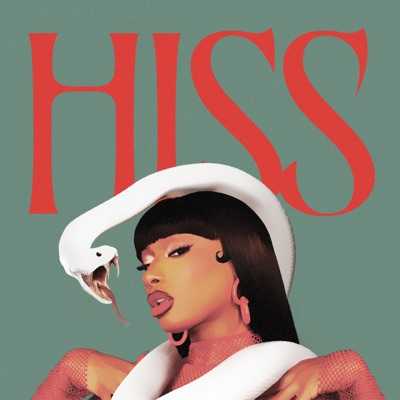 Hiss Clean Lyrics