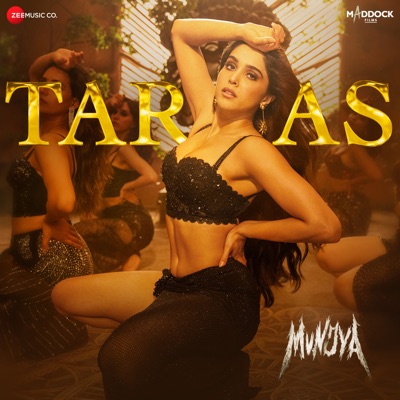 Taras Ni Aaya Tujhko Lyrics