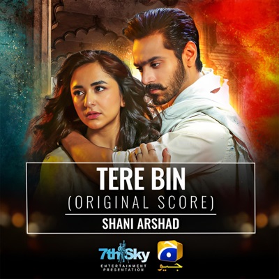 Tere Bin OST Lyrics